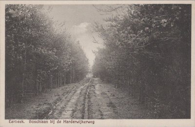 EERBEEK - Boschlaan bij de Harderwijkerweg