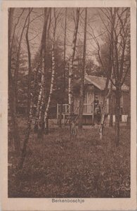 HEELSUM - Berkenboschje