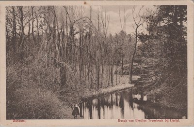 BUSSUM - Bosch van Bredius Treurbeuk bij Herfst