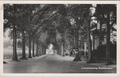 BEEKBERGEN - Loenenseweg