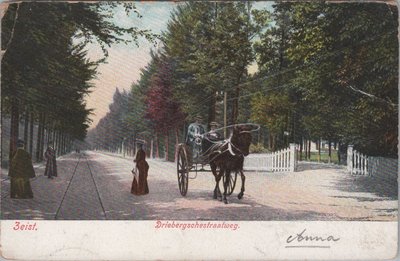 ZEIST - Driebergschestraatweg