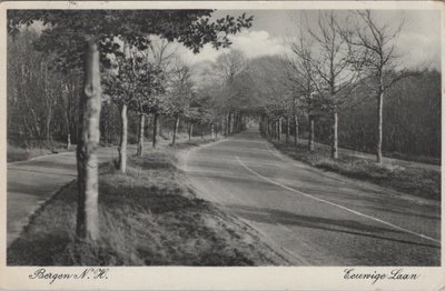 BERGEN N. H. - Eeuwige Laan