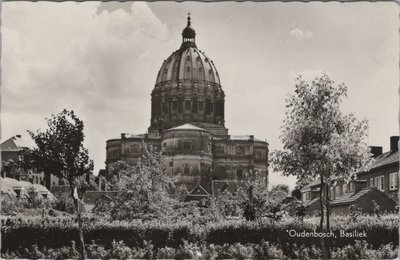 OUDENBOSCH - Basiliek