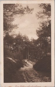 VELUWE - Een Veluwsch Boschjen