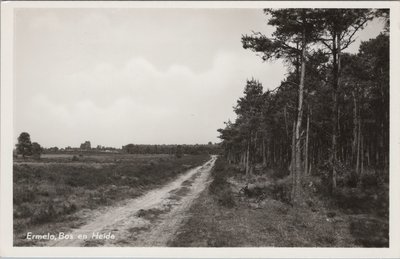 ERMELO - Bos en Heide