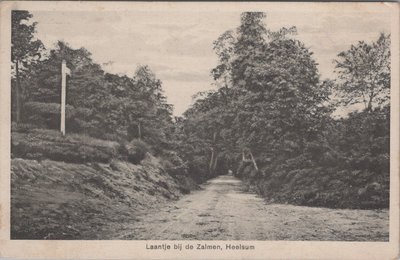 HEELSUM - Laantje bij de Zalmen