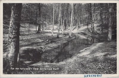 HULSHORST - Op de Veluwe - Het Sollense Gat