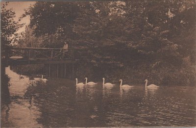 ZWOLLE - Vijver in 't Engelsche werk