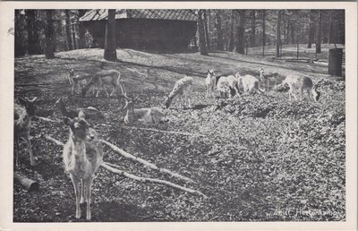ZEIST - Hertenkamp