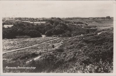 RENESSE - Duinlandschap