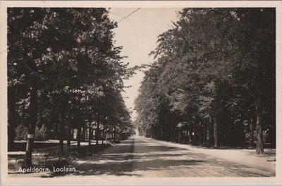 APELDOORN - Loolaan