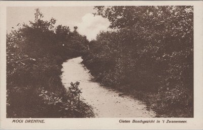 GIETEN - Boschgezicht in 't Zwanemeer