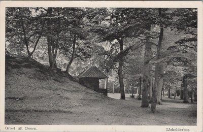 DOORN - IJkelderbos