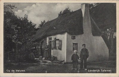 VELUWE - Landelijk tafereel