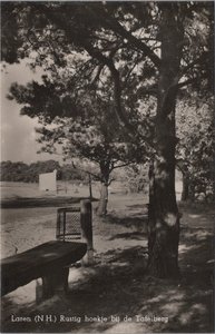 LAREN (N. H. ) - Rustig hoekje bij de Tafelberg