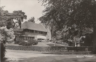 BUSSUM - Catalpa