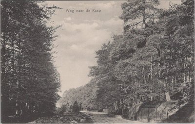 DE STEEG - Weg naar de Kaap