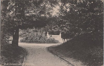 DEN HAAG - In de Scheveningsche Bosjes