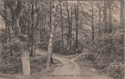 DE LUTTE - t Bosch in de Lutte bij Oldenzaal