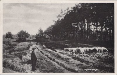 VELUWE - Veluws Tafereeltje