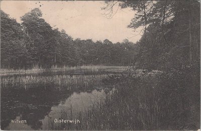 OISTERWIJK - Witven