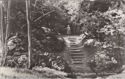 FREDERIKSOORD - Trip-trap bruggetje in 't Sterrenbos