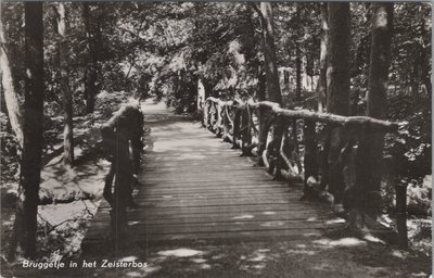 ZEIST - Bruggetje in het Zeisterbos