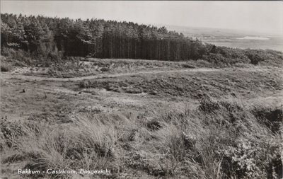 BAKKUM - Castricum, Bosgezicht