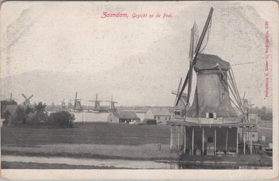 ZAANDAM - Gezicht op de Poel