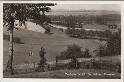 MECHELEN (Z. L.) - Gezicht op Overgeul