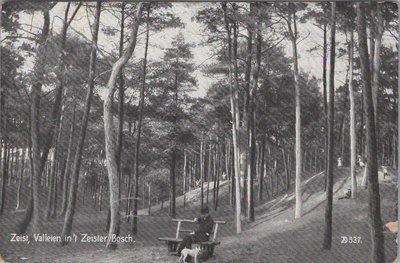 ZEIST - Valleien in 't Zeister Bosch