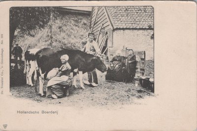 NEDERLAND - Hollandsche Boerderij