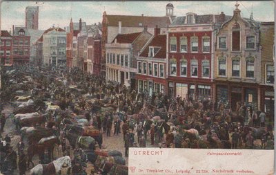 UTRECHT - Palmpaardenmarkt