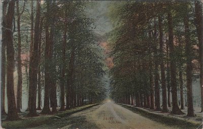 ZEIST - Koelaan