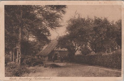 GELDERLAND - Oude Boerderij