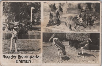 EMMEN - Meerluik Noorder Dierenpark