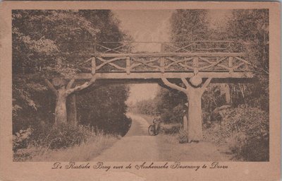 DOORN - De Rustieke Brug over de Arnhemsche Bovenweg te Doorn