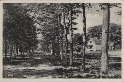 ZEIST - Hoog Kanje