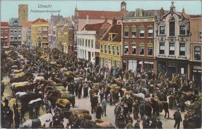 UTRECHT - Palmpaardenmarkt