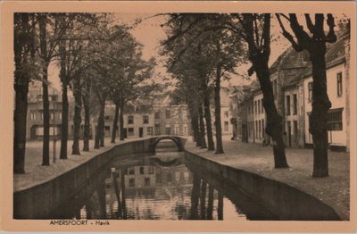 AMERSFOORT - Havik