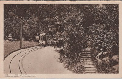 BERG EN DAL - Bergspoor
