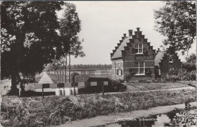 LINSCHOTEN - Schapenlaan