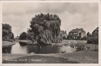 ZWIJNDRECHT - Vijver-W. v. Oranjelaan