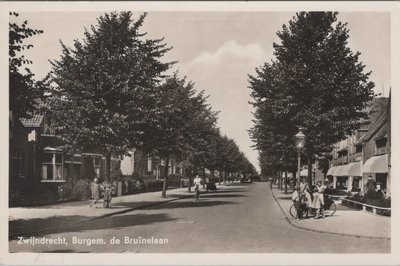 ZWIJNDRECHT - Burgem. De Bruïnelaan