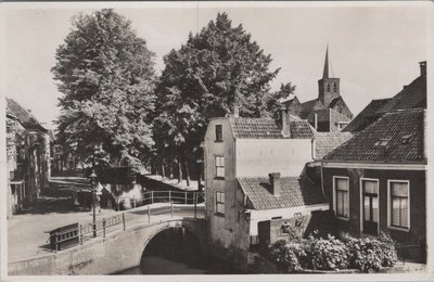 AMERSFOORT - Havik