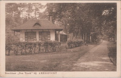 AMERSFOORT - Boschlaan Den Treek bij Amersfoort