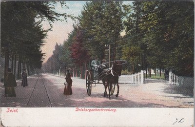 ZEIST - Driebergschestraatweg