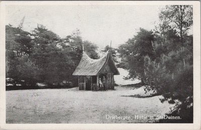 DRIEBERGEN - Hutje in de Duinen