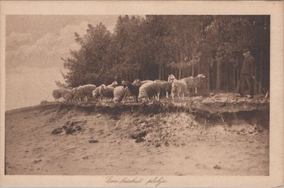 VELUWE - Een beschut plekje