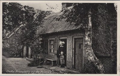 VELUWE - Oude Boerderij op de Veluwe